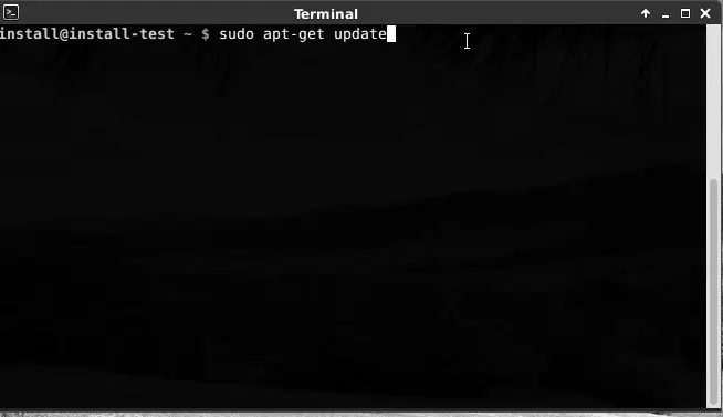 Terminal ejecutando el comando apt-get update en una distribución basada en Debian