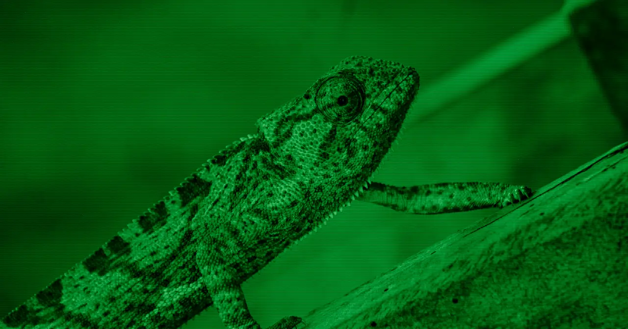 Camaleón verde en primer plano, símbolo evocador del camaleón mascota de openSUSE