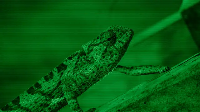 Camaleón verde en primer plano, símbolo evocador del camaleón mascota de openSUSE