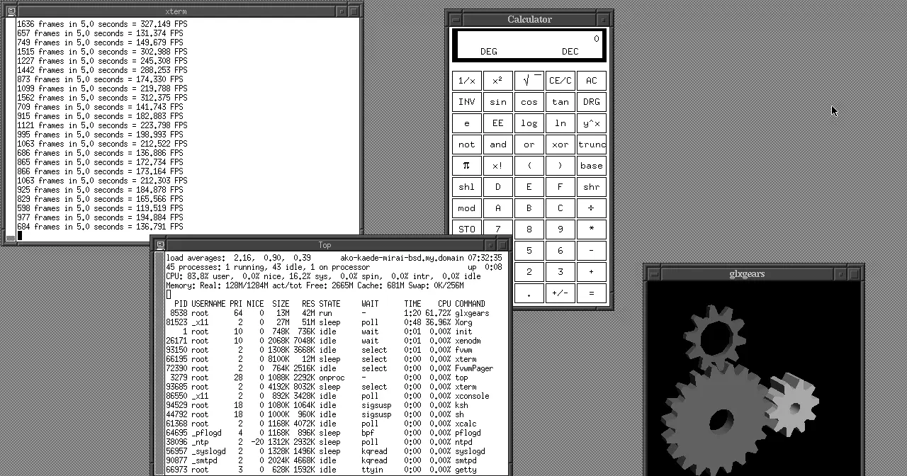 Escritorio de OpenBSD con el gestor de ventanas FVWM